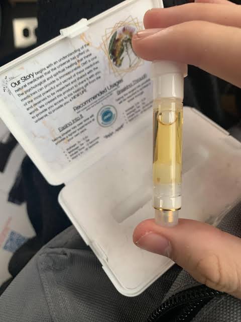 A courier delivering a discreet package, illustrating how to find same day DMT vape delivery services in Toronto.