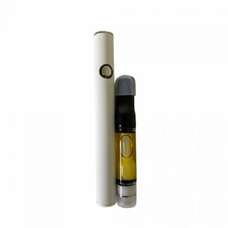 Puff Boys vape cartridges stored in a protective case, illustrating the best ways to store Puff Boys cartridges for Toronto winters.