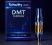 Premium DMT vape cartridges Toronto - NN-DMT and 5-MeO-DMT products from trusted brands including Puff Boyz, Schwifty Labs, and Deadhead Chemist